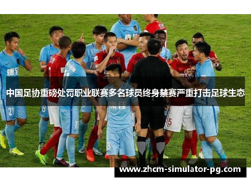 中国足协重磅处罚职业联赛多名球员终身禁赛严重打击足球生态