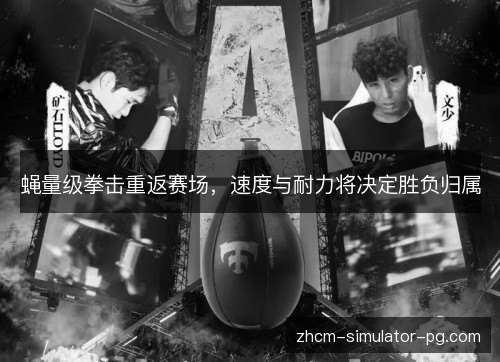 蝇量级拳击重返赛场,速度与耐力将决定胜负归属 蝇量级拳击重返赛场,速度与耐力将决定胜负归属